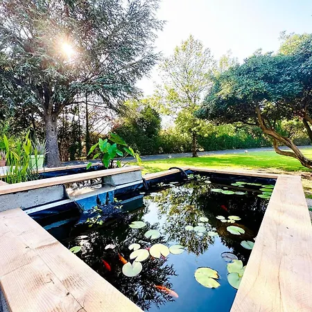 Grand Studio Avec Piscine Appartement Le Soler